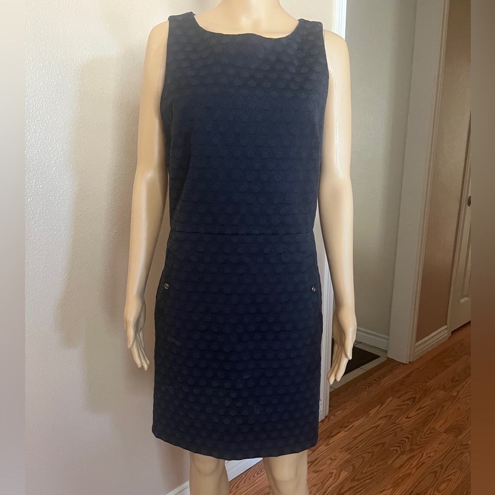 Banana Republic Women’s Sleeveless Navy Blue Dress Size 12 With Pockets! NWOT